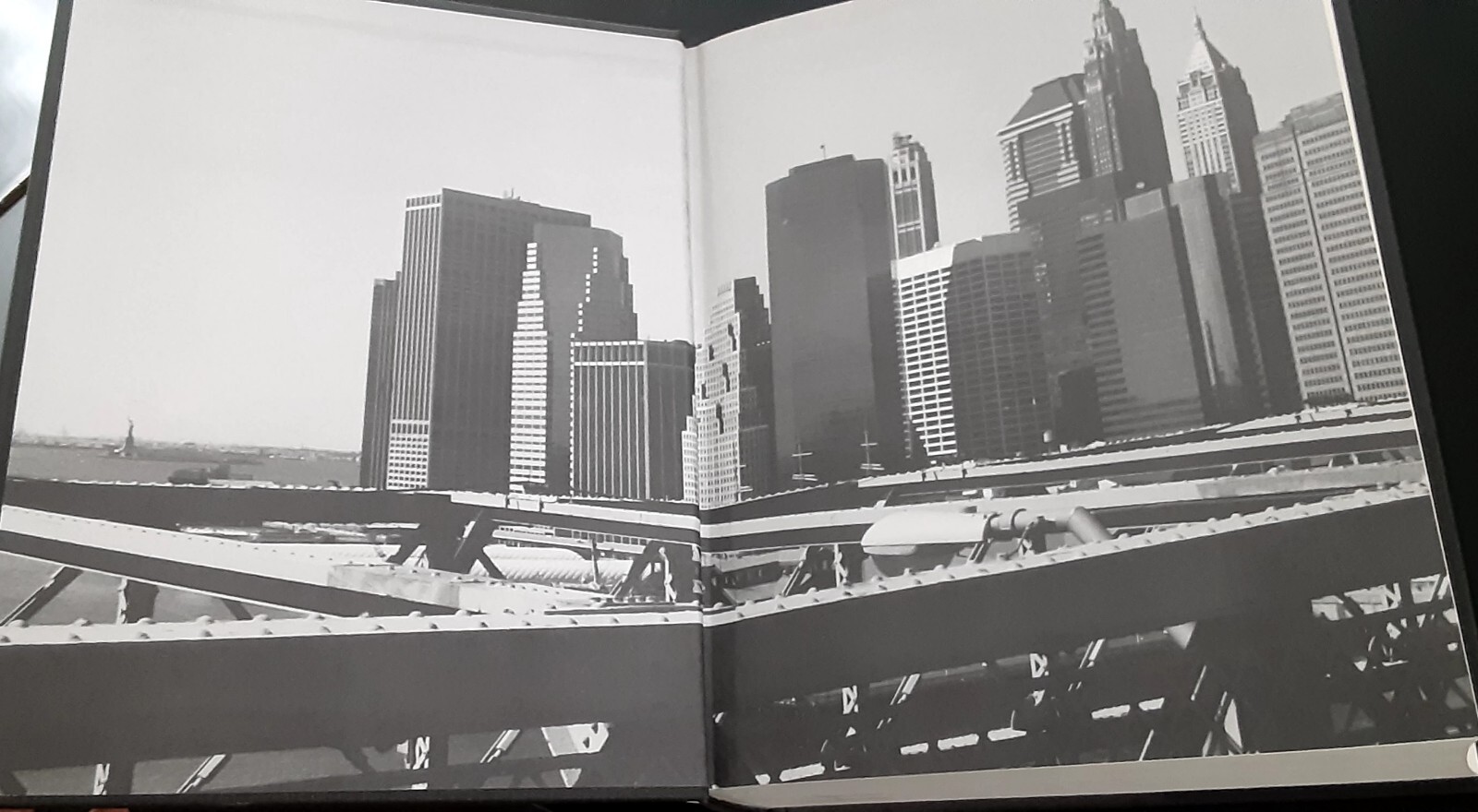 The Encyclopedia of New York City by Kenneth T. Jackson 1995 Hardcover