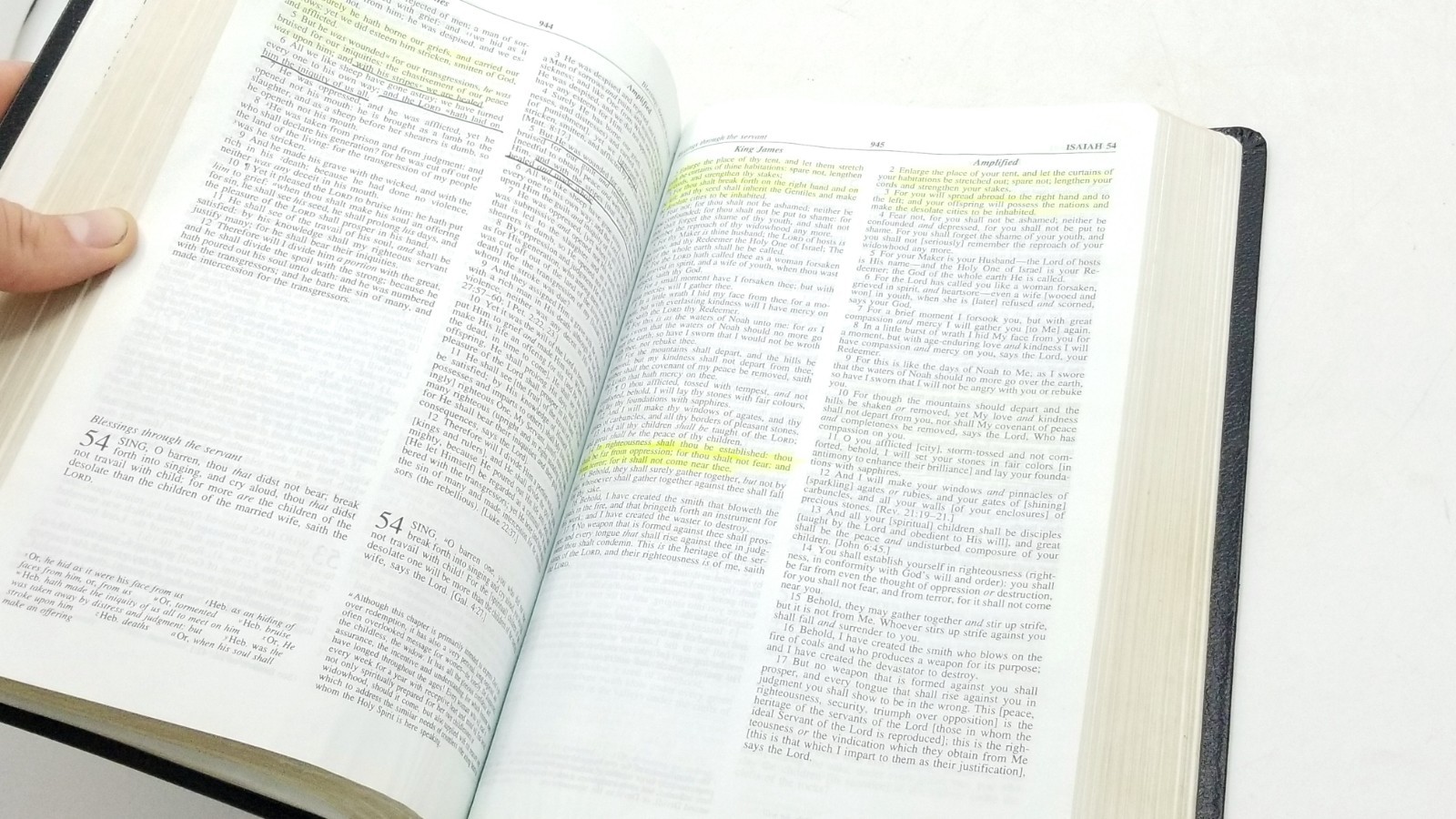 KJV Amplified AMP Parallel Bible by Zondervan Staff (1995, Leather)