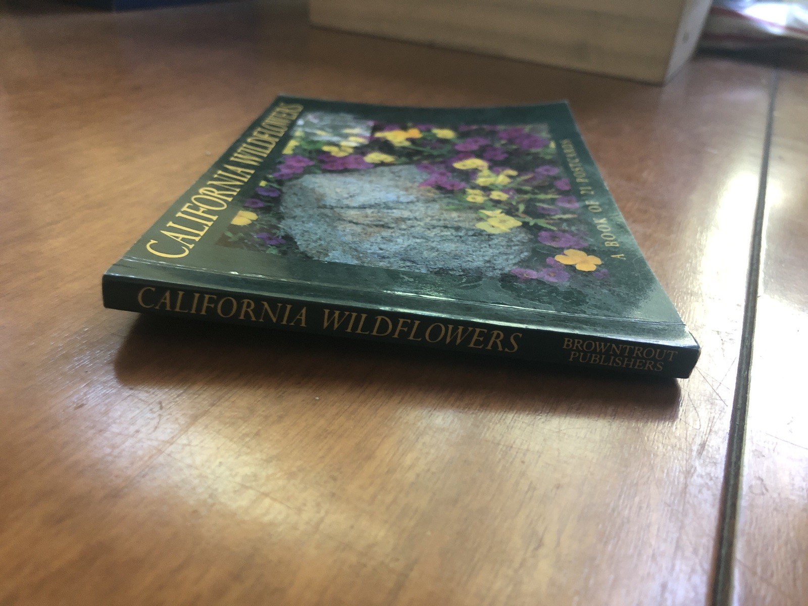 California Wildflowers A Book of 21 Postcards Browntrout Publishers Photos VTG