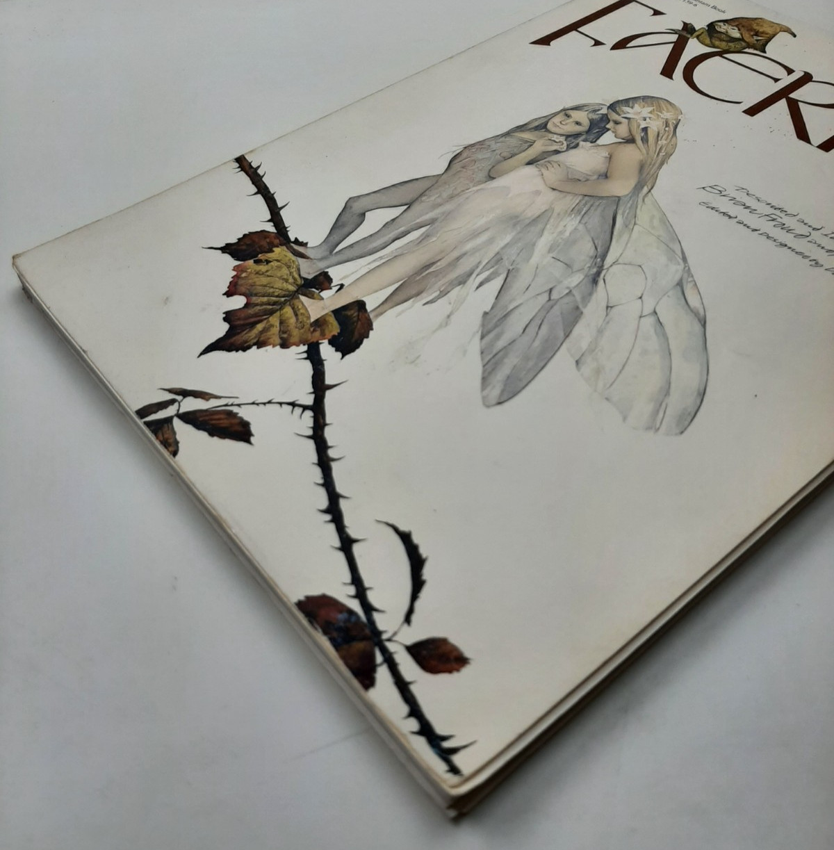 Vintage Faeries Book 1978 First Edition Printing Brian Froud Mythical Fairy Art