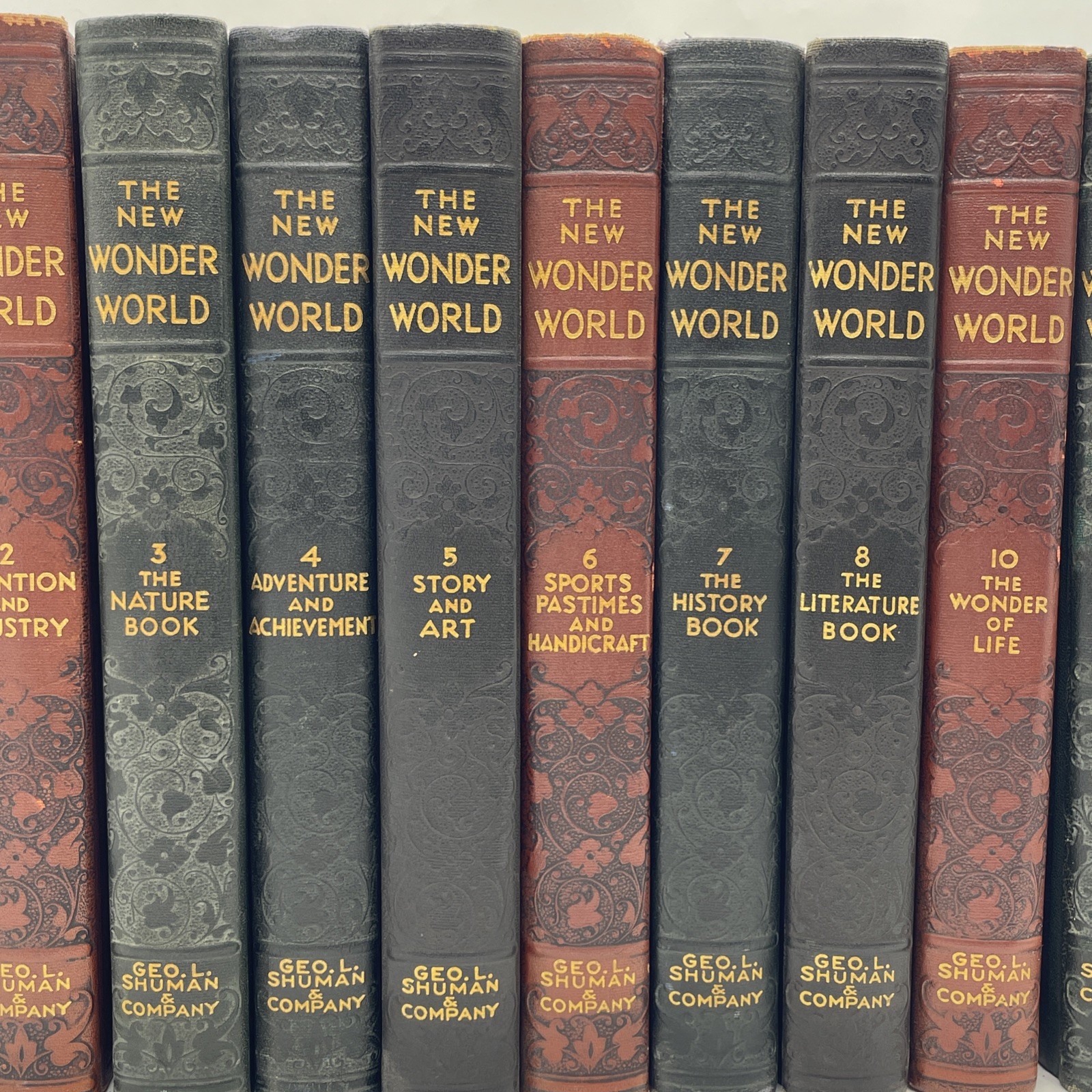 The New Wonder World Vol. 1-8 10&11 Set Geo. L. Shuman & Company Books
