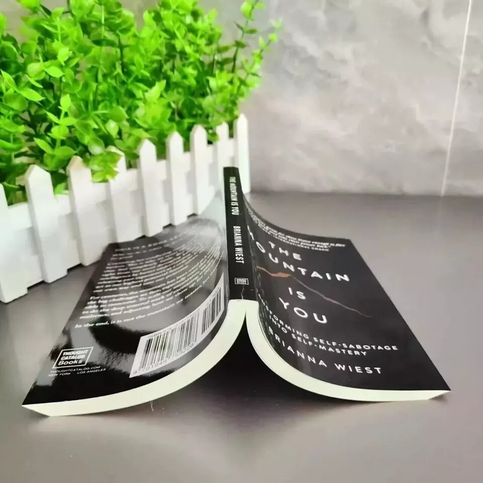 The Mountain Is You: Transforming Self-Sabotage Into Self-Mastery English Books
