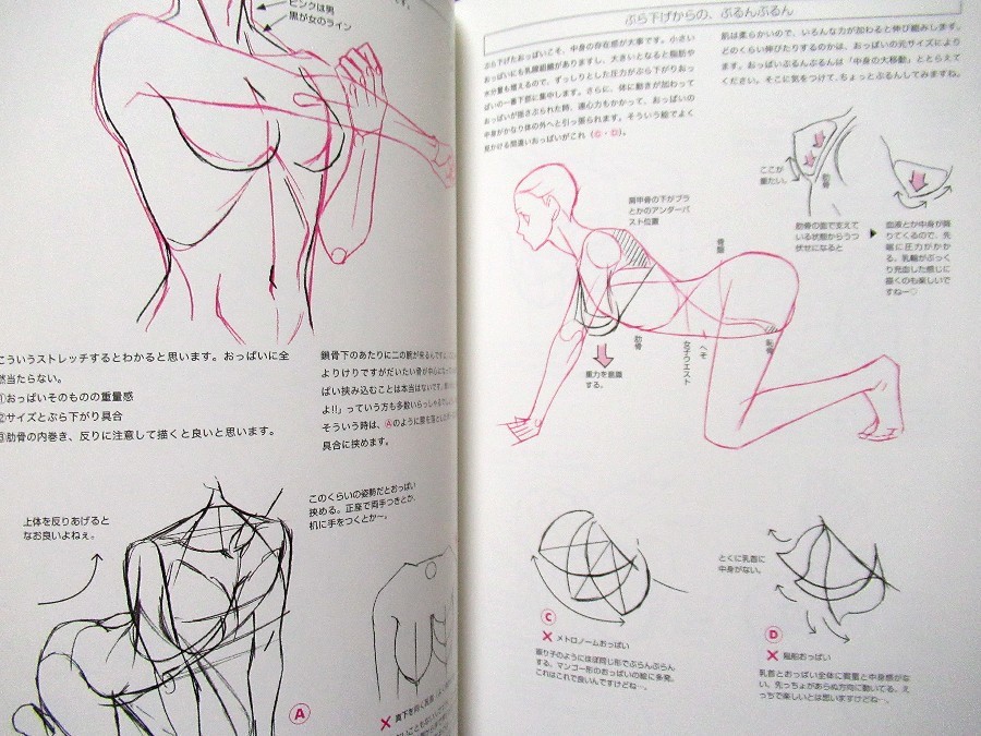How to Draw Manga Woman’s Breast /Japanese Anime Drawing Illustrations Art Book