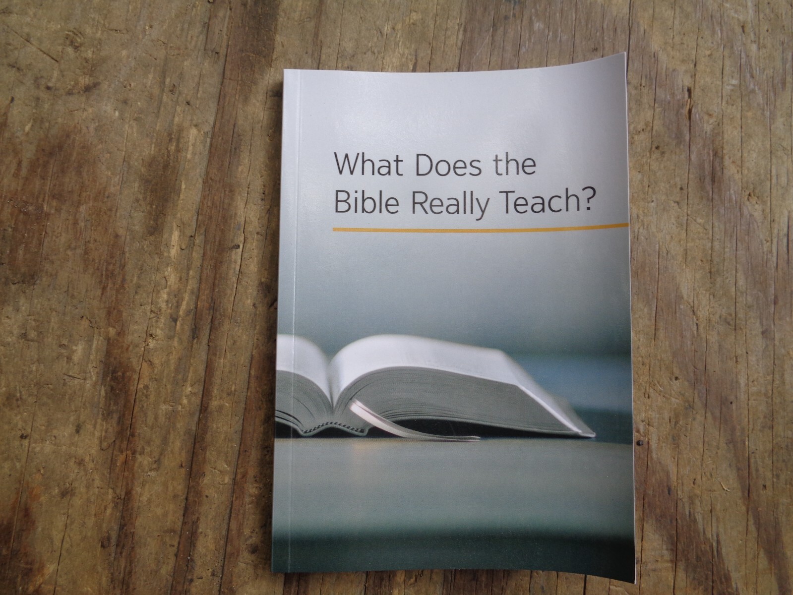 „WHAT DOES THE BIBLE REALLY TEACH?“. 2016. 223 pages. Paperback. Watchtower
