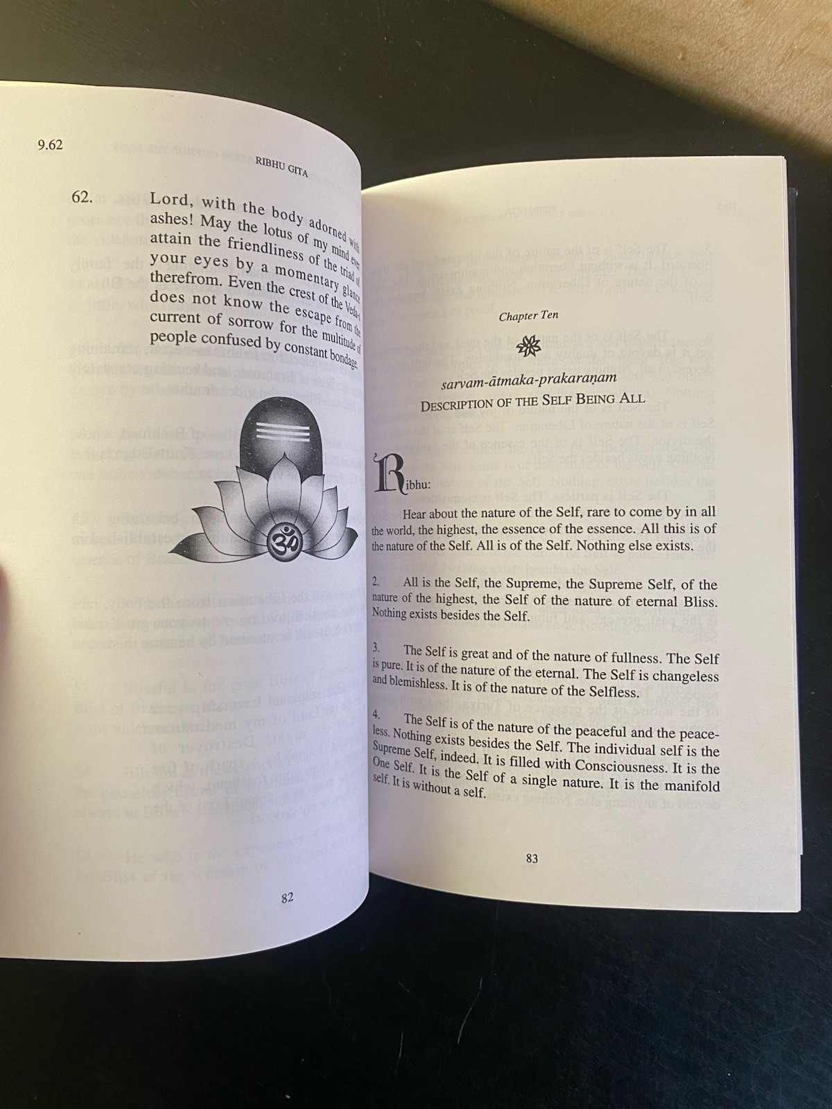 The Ribhu Gita: First English Translation from the Original Sanskrit HC