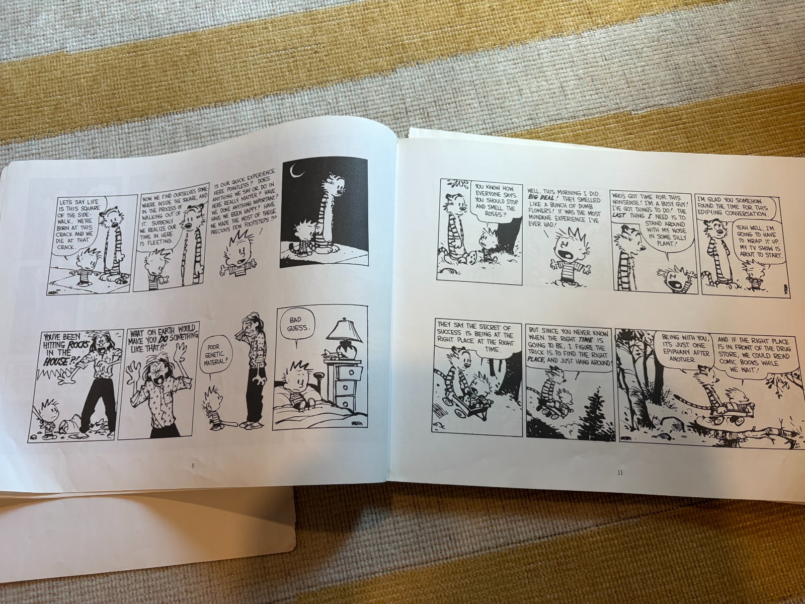 Calvin and Hobbes The Days Are Just Packed (INCOMPLETE BOOK, READ DESCRIPTION)