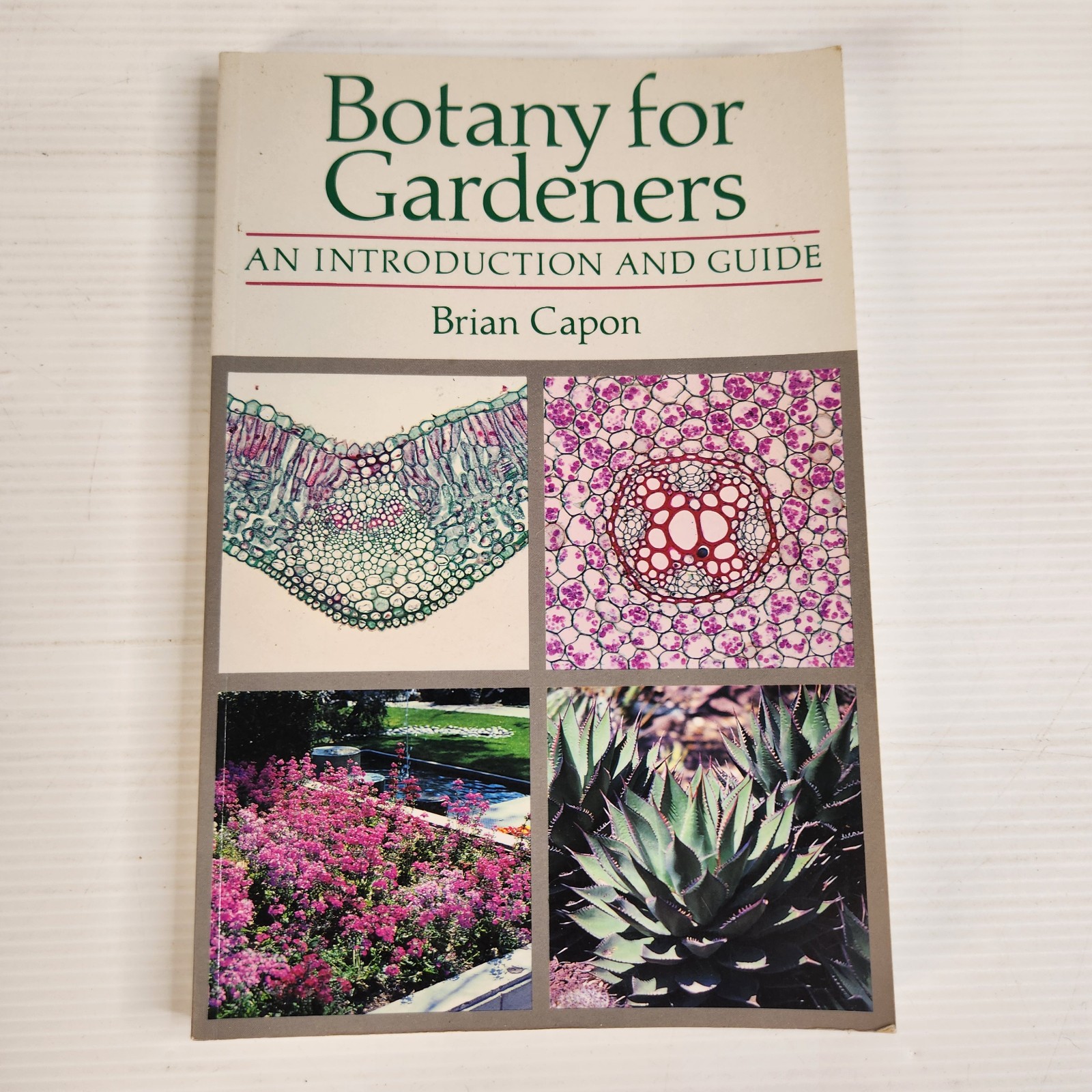 Botany for Gardeners by Brian Capon Paperback