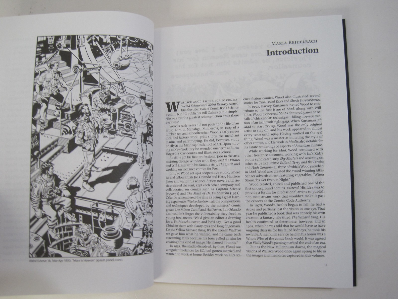 Against the Grain: Mad Artist Wallace Wood – Limited Edition Hardcover 2003