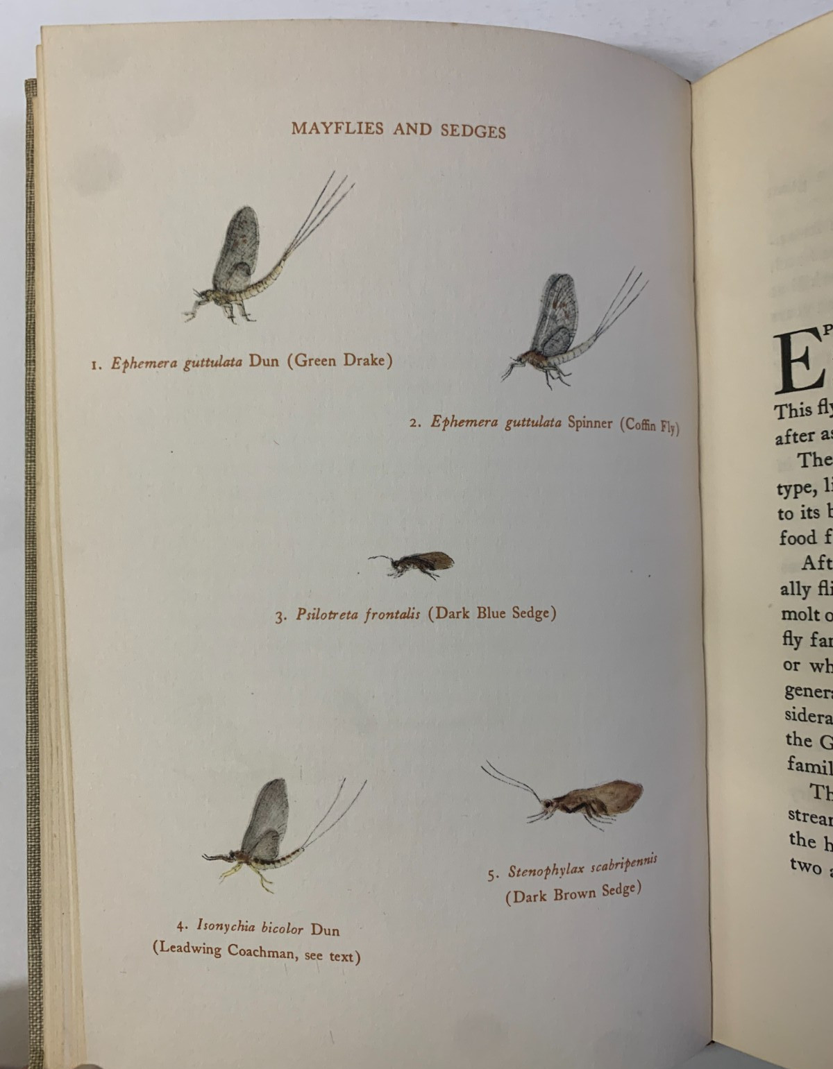 BOOK OF TROUT FLIES Stream Insect & Imitations PRESTON JENNINGS ©1935, 1st Edn.