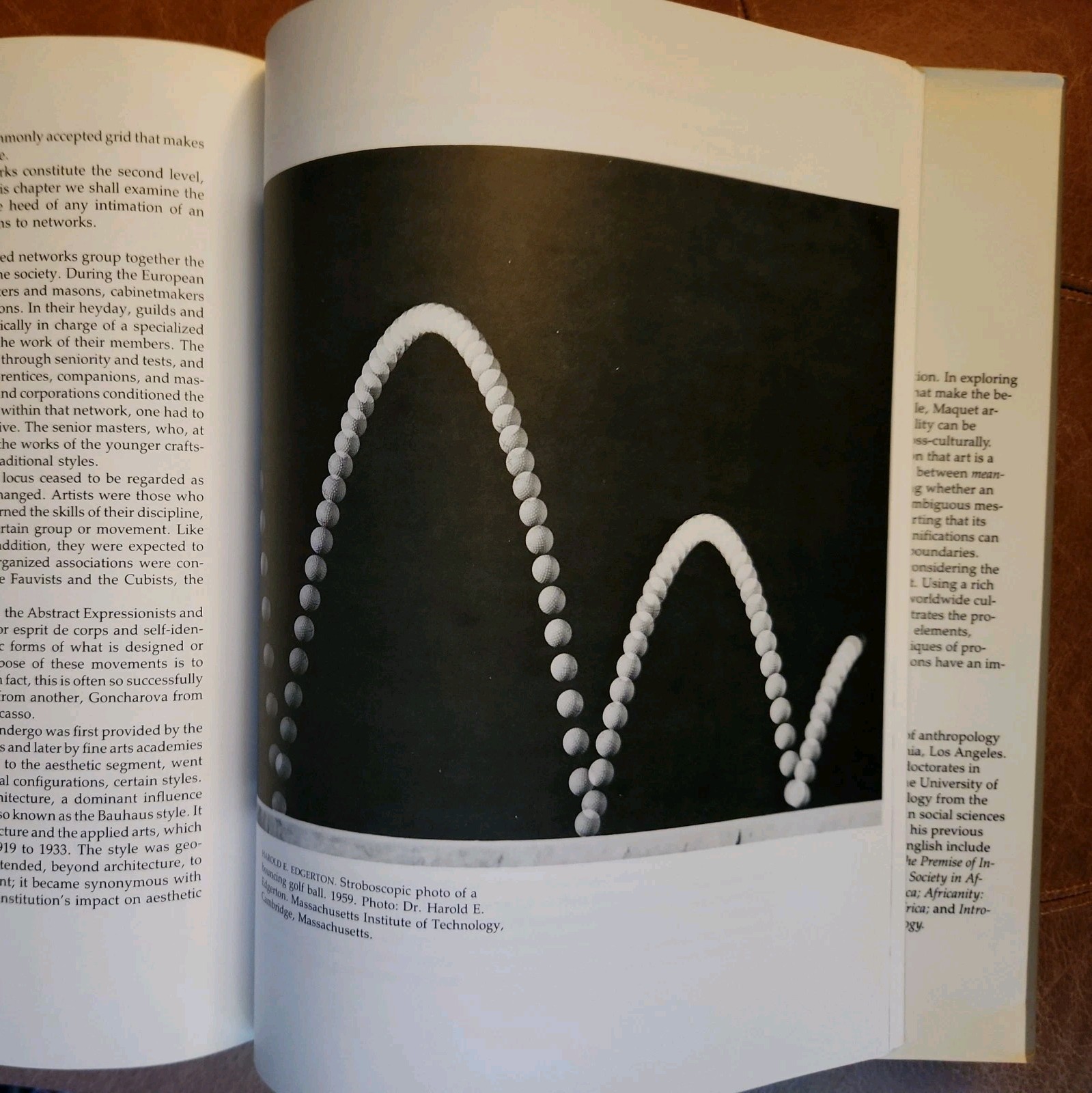 Jacques Maquet The Aesthetic Experience. Yale University Press 1986
