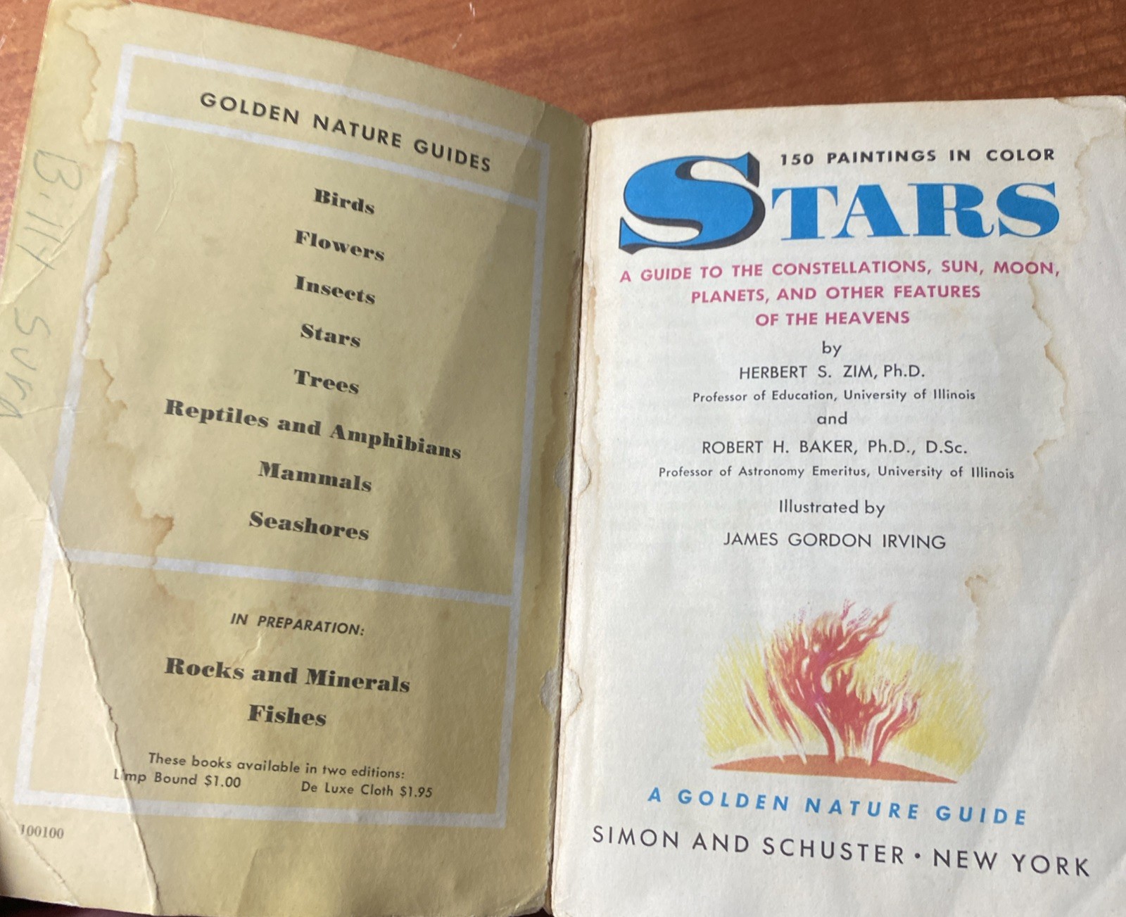 Lot Of 6 Vintage Golden Nature Guides-Small Booklets-Insets pest stars rock ETC