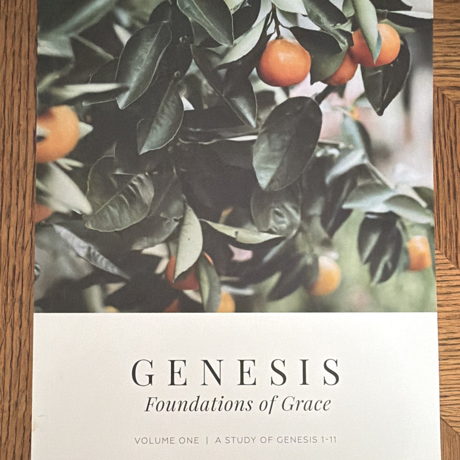 Genesis: Foundations of Grace Vol 1 Joanna Kimbrel PB Illus