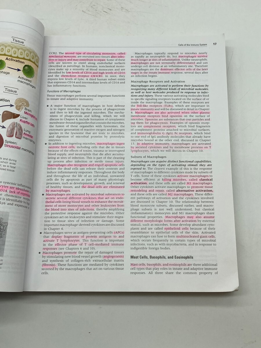 Cellular and Molecular Immunology