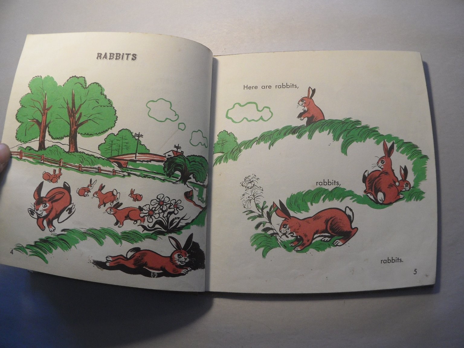 Becky, The Rabbit Gene Darby 1964 Illustrated Childrens Book Benefic Press