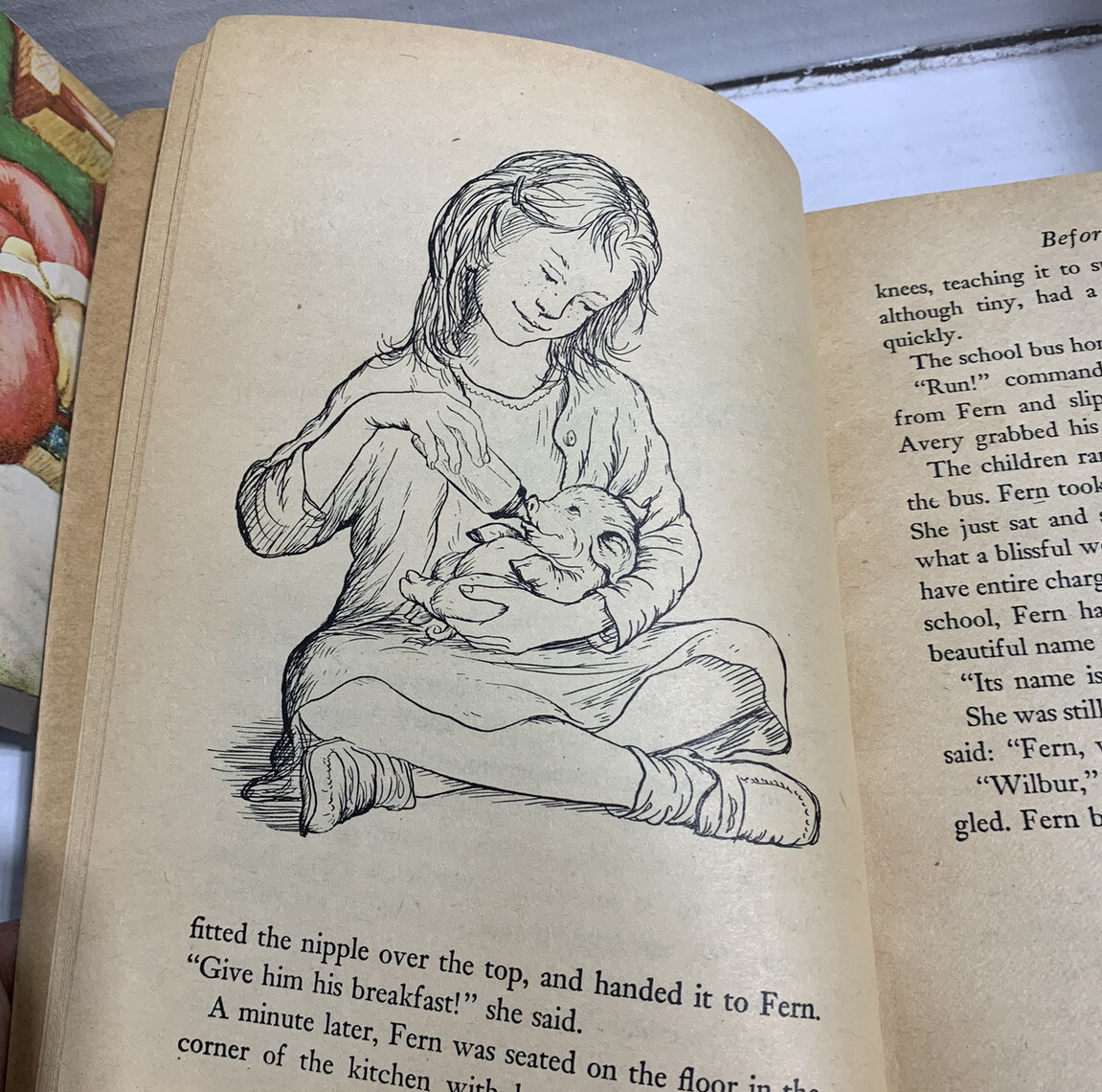 Vintage Traditional Children’s Books Charlotte’s Web, Wizard of Oz & Judy Blume