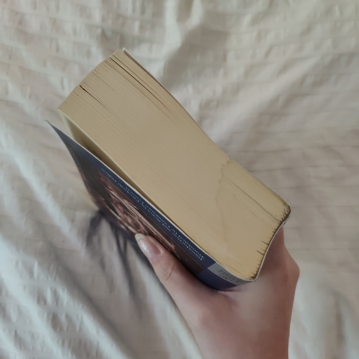 The Possessed (Barnes & Noble Classics), Dostoevsky, Fyodor, Book Paperback