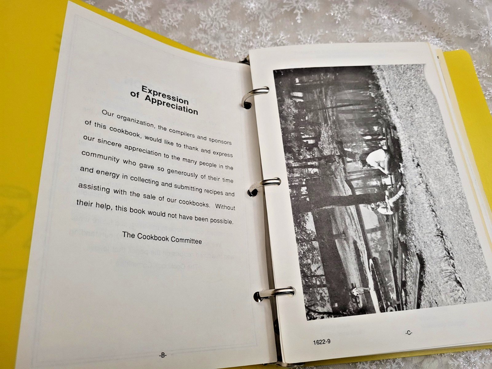 1989-BRETHREN HERITAGE COOKBOOK-FINCASTLE VA-VIRLINA DISTRICT-3 RING-350 PAGES