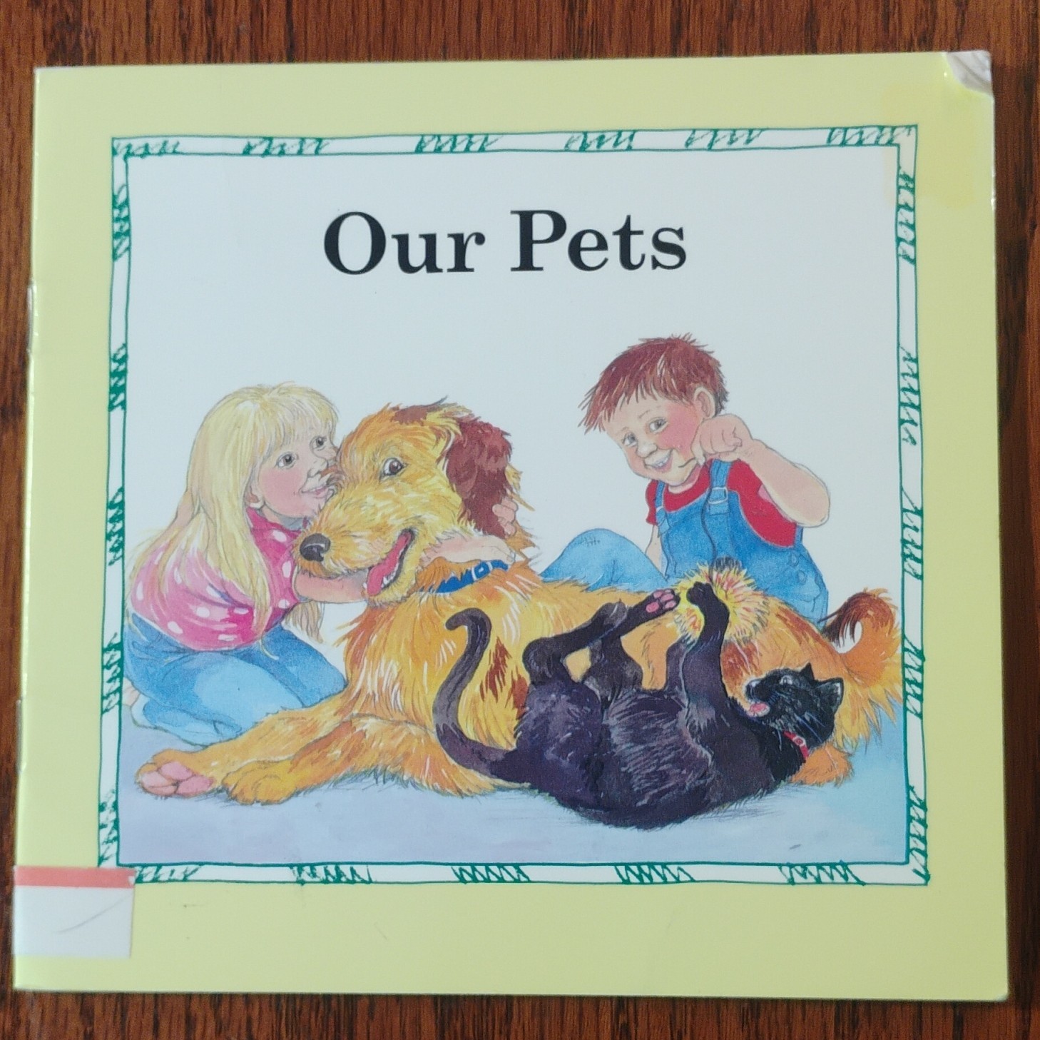 Lot of 10 Rigby PM Leveled Readers Classroom Books Mixed Titles Used