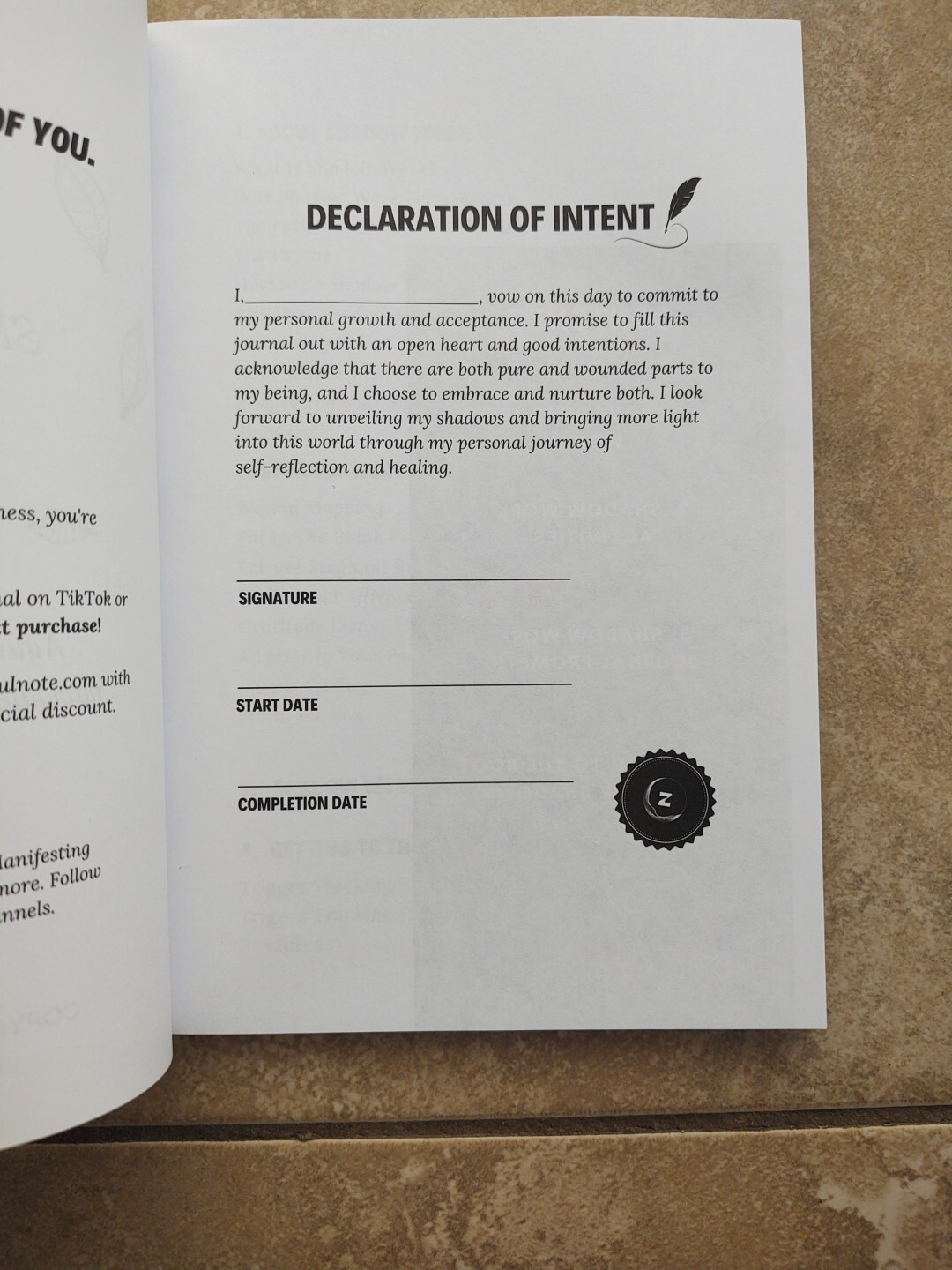 THE SHADOW WORK JOURNAL Guide Integrate & Transcend Your Shadows Self Help Book