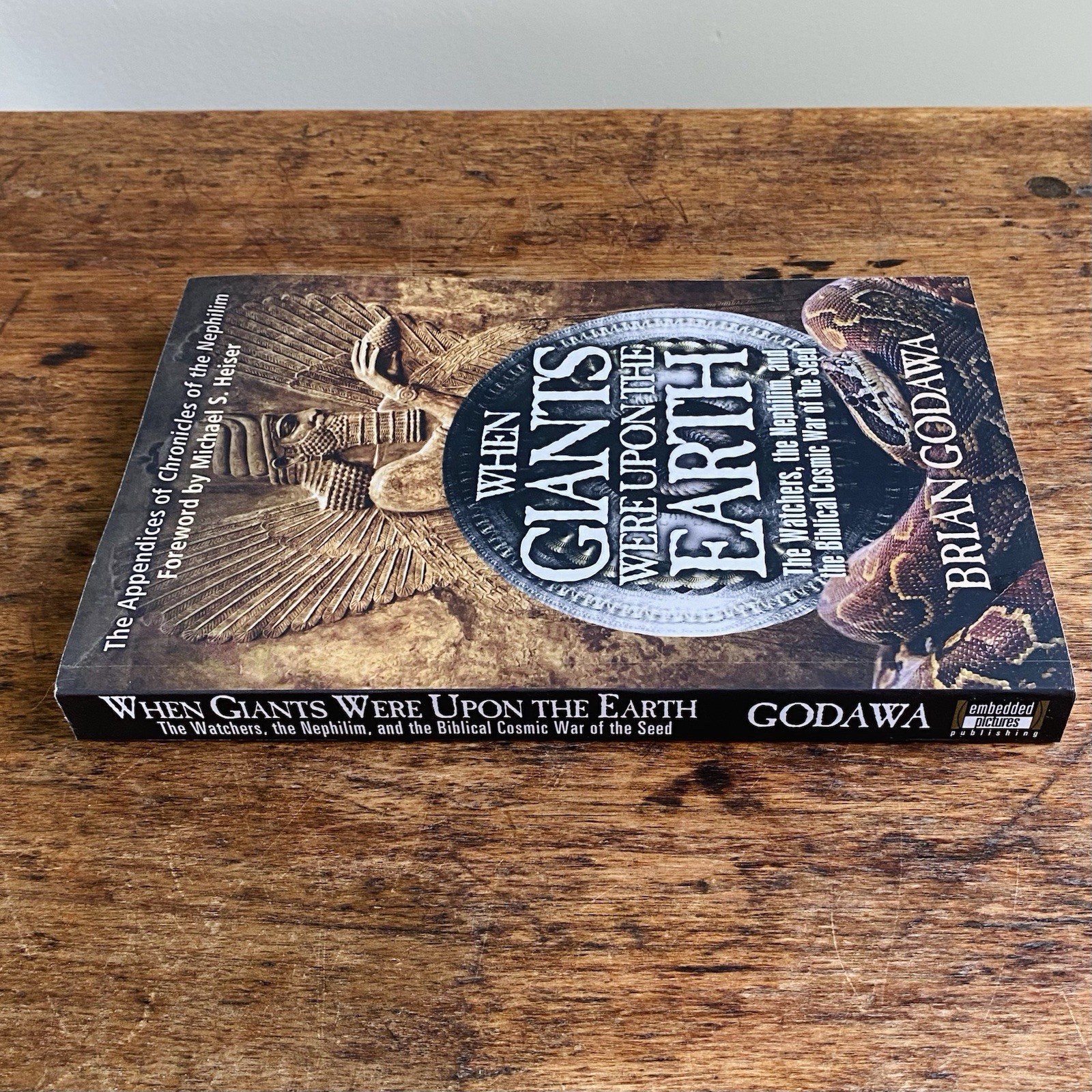 When Giants Were upon the Earth by Brian Godawa 2014 Paperback