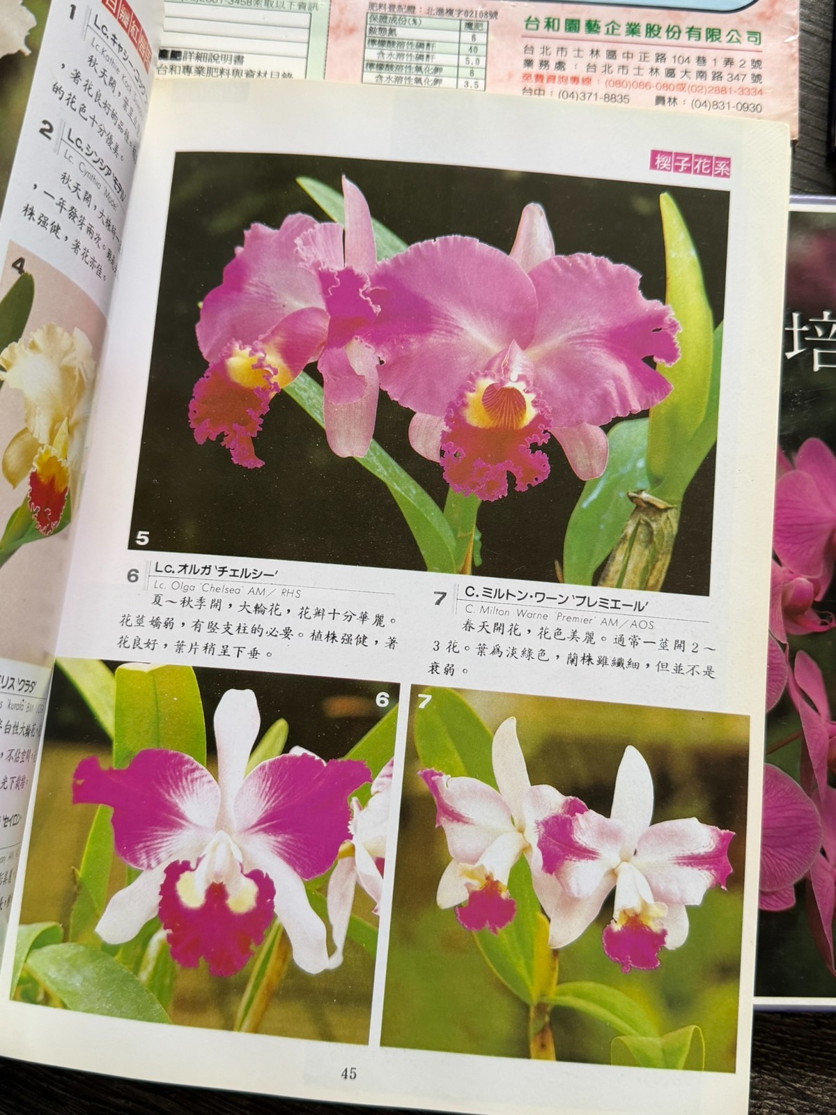 ORCHID Book 6pc Lot Chinese Language Hardcover Softcover Flowers Floristry