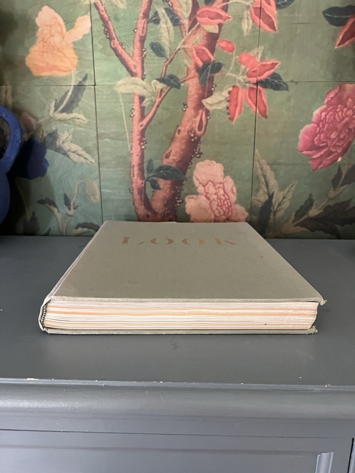 THE LOOK BOOK By Leo Rosten & Gardner Cowles – Hardcover
