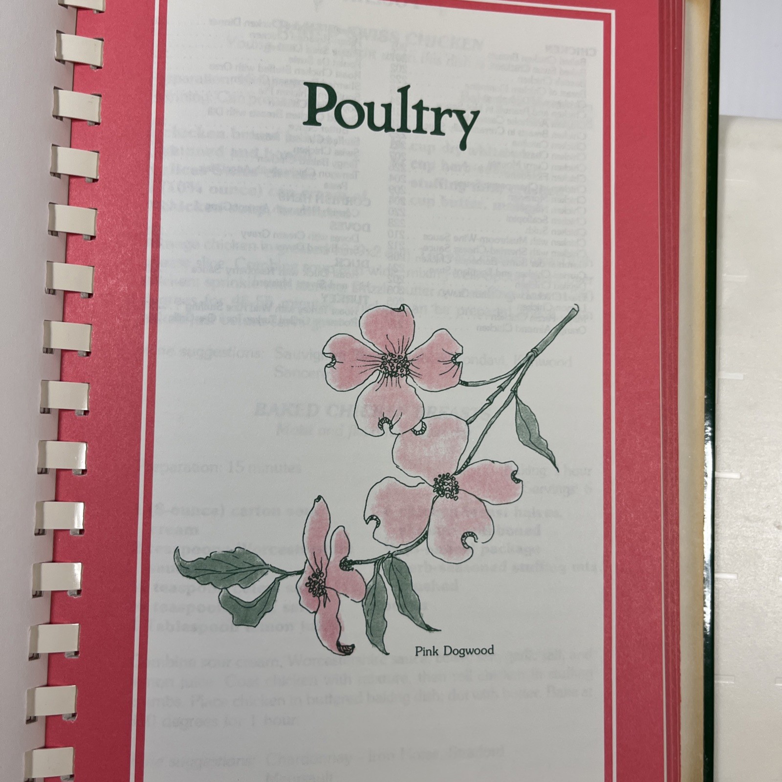 Peachtree Bouquet: A Culinary Arrangement – Junior League of Dekalb GA Cookbook