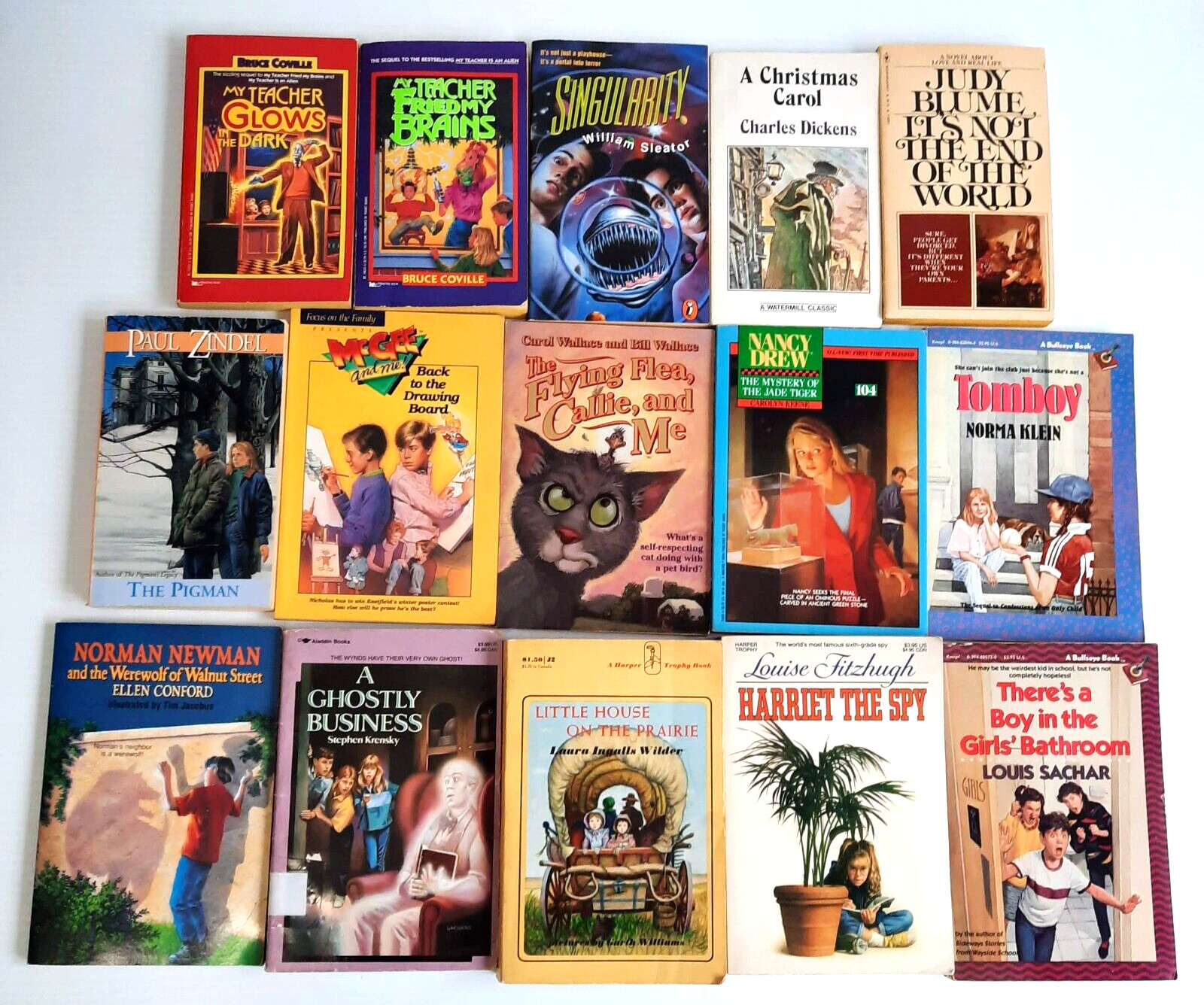 Children’s Paperbacks Huge Lot of 46 Mostly 1980s Sweet Valley Little Bear