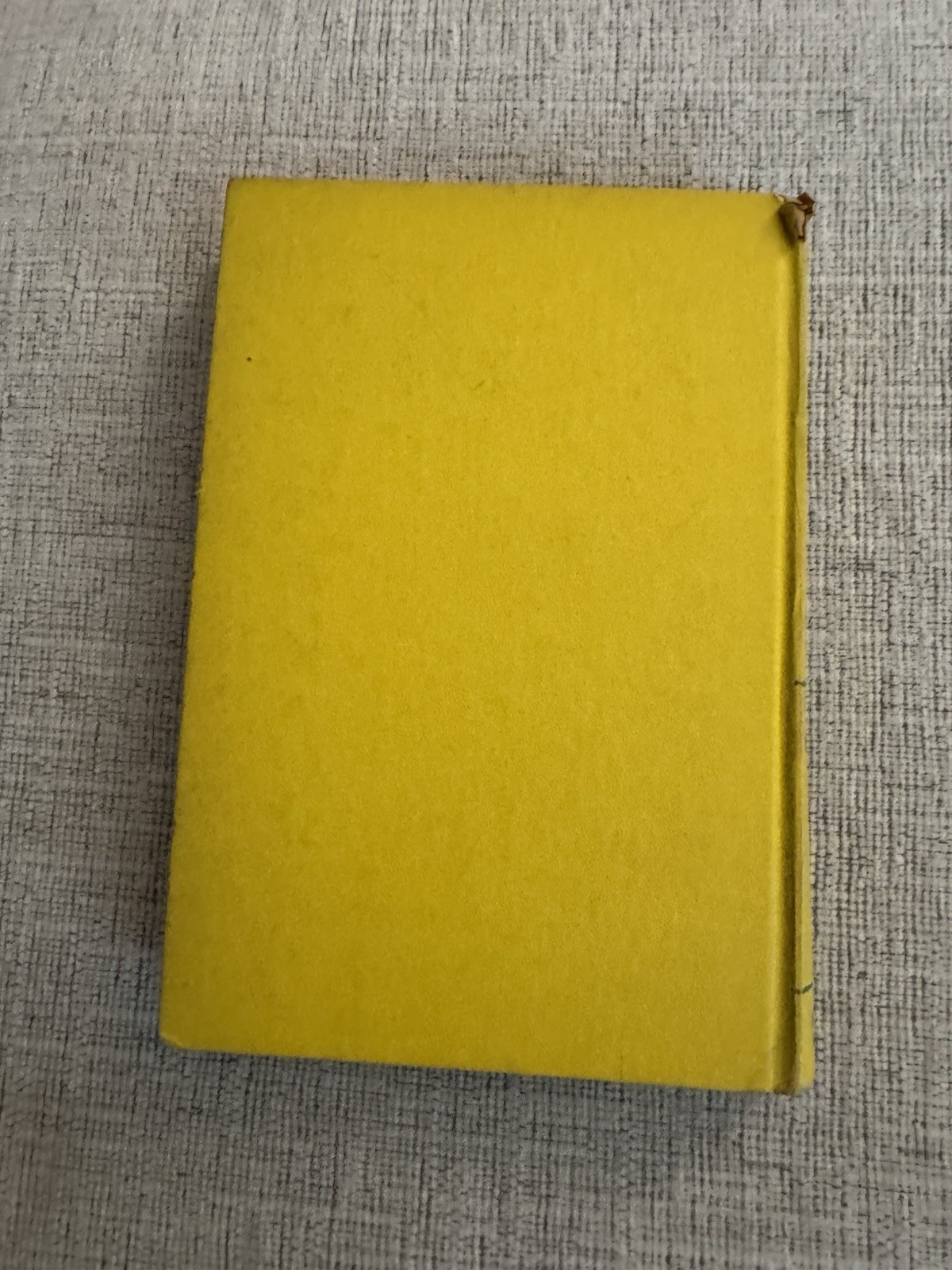 Dangerous Island Helen Mather-Smith Mindlin 1956 Weekly Reader HC