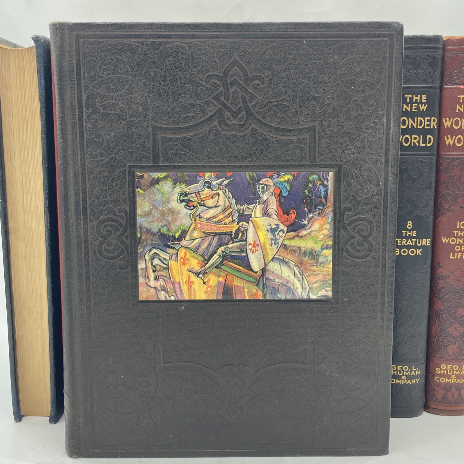 The New Wonder World Vol. 1-8 10&11 Set Geo. L. Shuman & Company Books