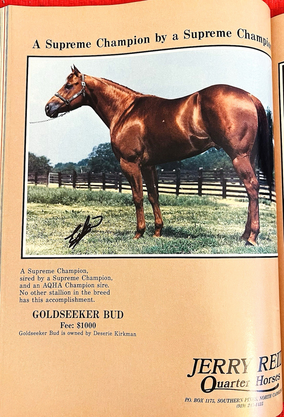 SALE ENDS 6/15! 1986 QUARTER HORSE JOURNAL Book – DYNAMIC DELUXE, ZAN PARR BAR