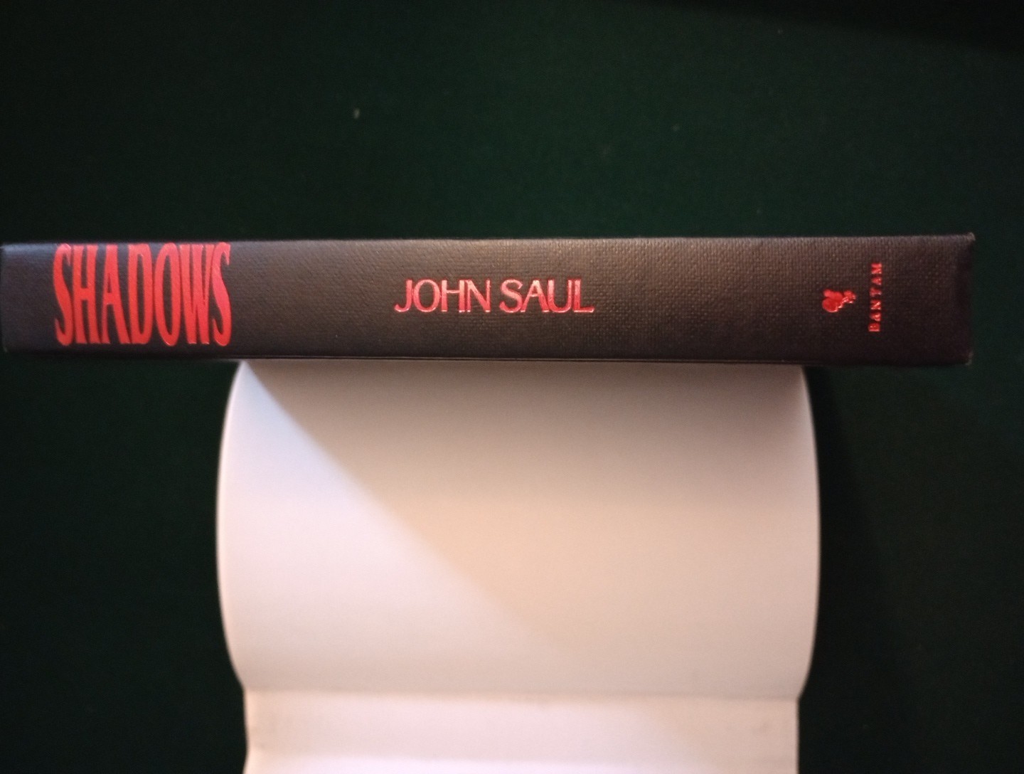 Shadows by John Saul (1992 Hardcover) Bantam Books Book Club Edition