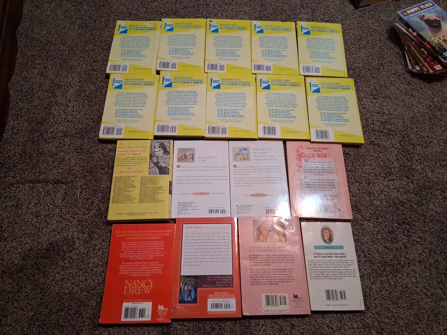 Lot Of 18 Nancy Drew Carolyn Keene Mystery Books Notebooks Casefiles Diaries