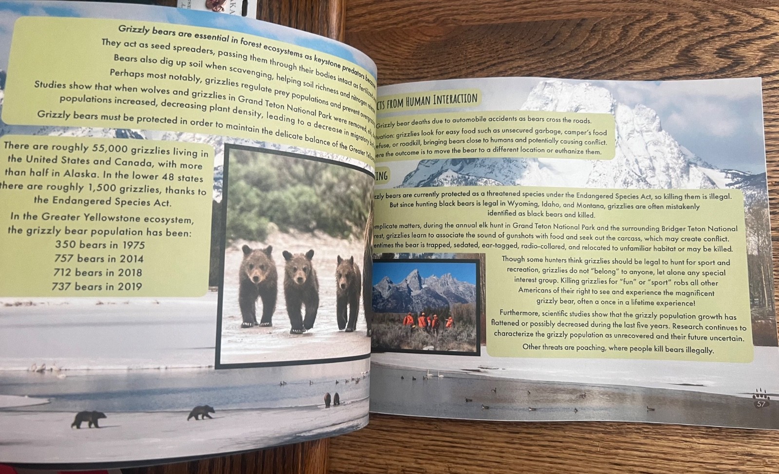 GRIZZLY 399 THE STORY OF A REMARKABLE BEAR BY SYLVIA M. MEDINA children’s Book