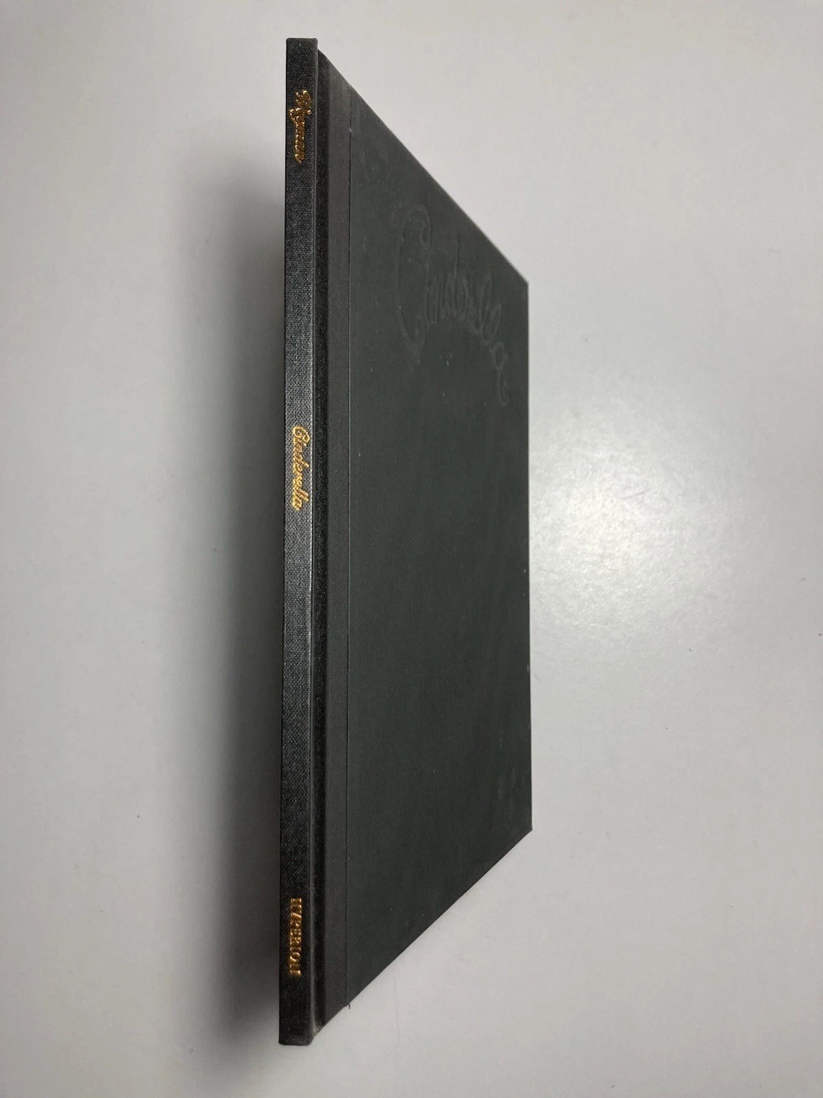 WILLIAM WEGMAN Lot of 2 First Edition Hardcovers: “CINDERELLA” & “PUPPIES”