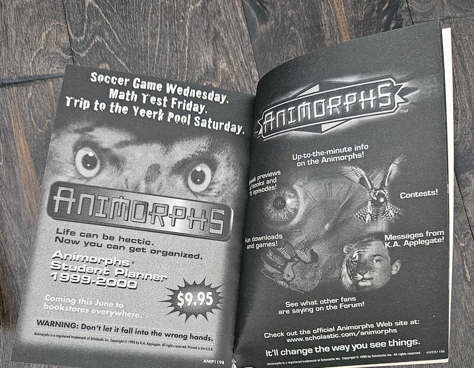 Lot Of 25 Animorphs Books- 1996-2001 See Photos For Titles