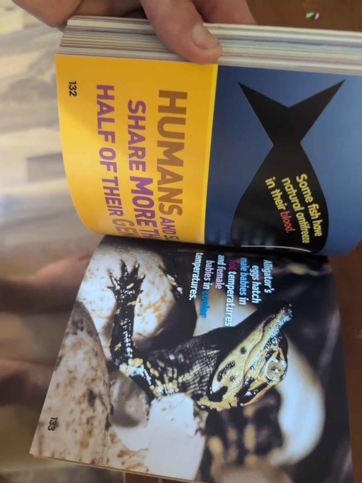 Weird but True! 2 : 300 Outrageous Facts by National Geographic Kids (2010,…