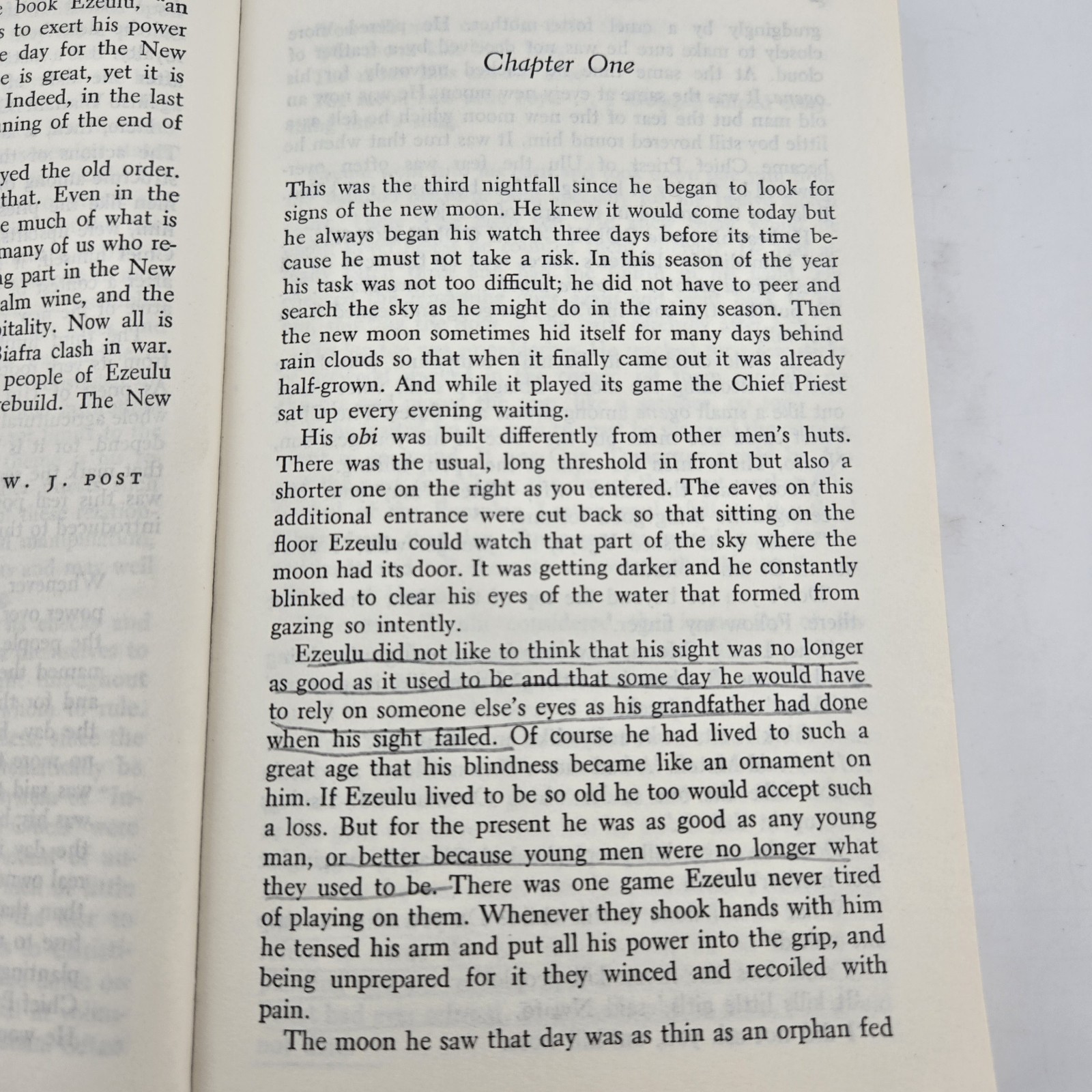 Lot of 2 Novels by Chinua Achebe 1960s PB Anchor Books Arrow of God Nigeria