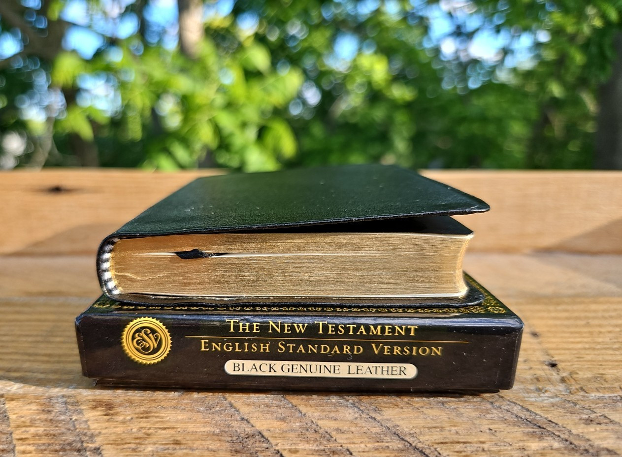 RARE! LNIB! 2001 ESV Text NT with Psalms & Proverbs Genuine Leather RED LETTER