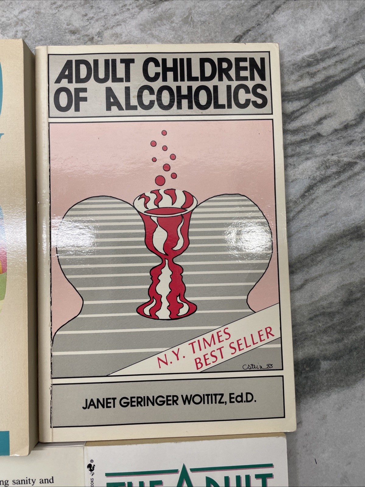6 Books on Addiction Alcoholism Getting Sober PBK Beyond Codependency