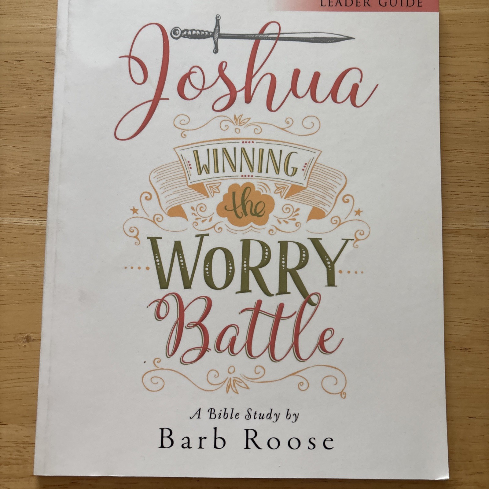 Joshua DVD & Leader Guide Lot by Barb Roose Winning the Worry Battle Study