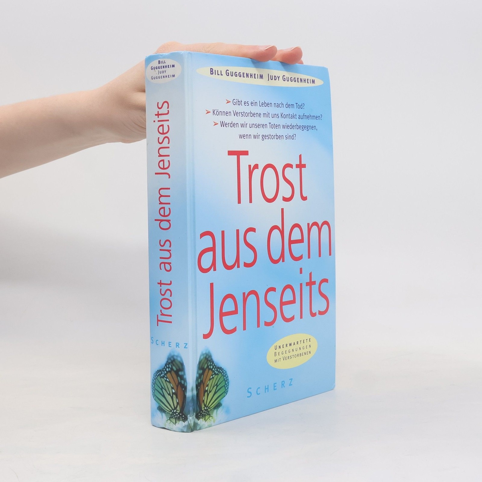 Trost aus dem Jenseits  |  Bill Guggenheim