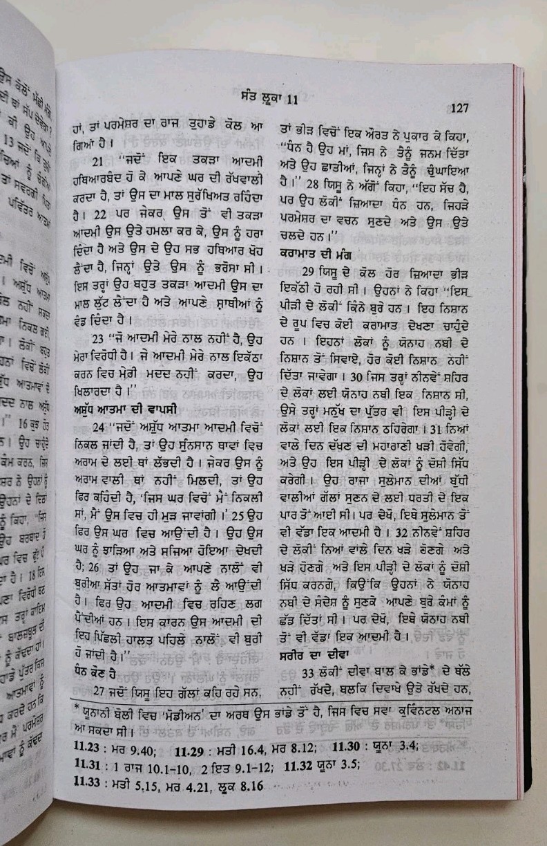 Punjabi New Testament Bible Vinyl Cover Bible Society Of India *NEW* 2009