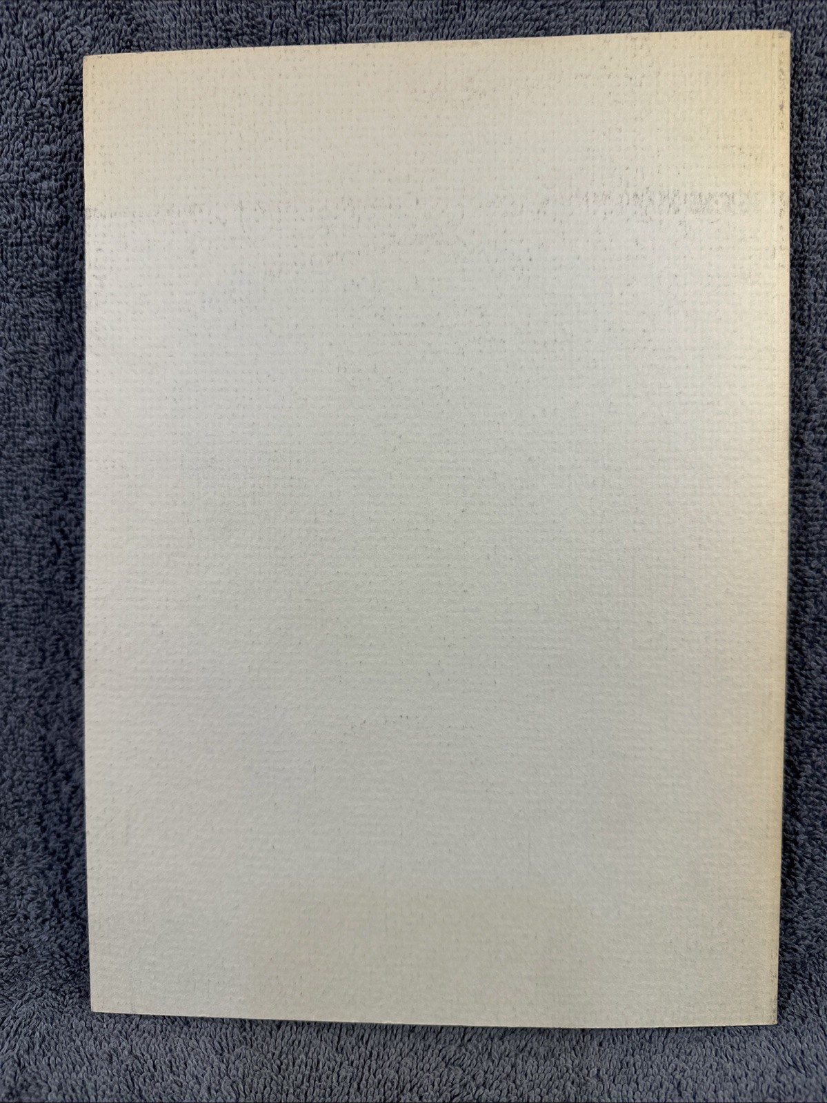 The Kashmir Shawl Yale University Art Gallery 1975