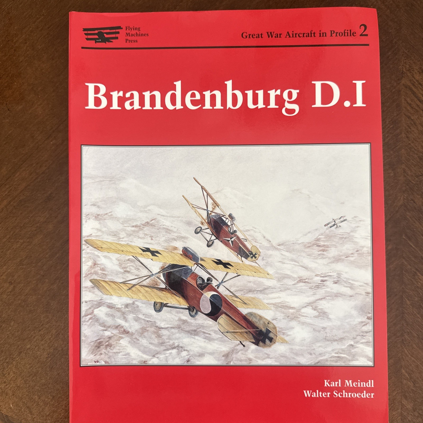 Pfalz Aircraft Salmson Bradenberg Sikorsky Great War Aircraft In Profile 4 books