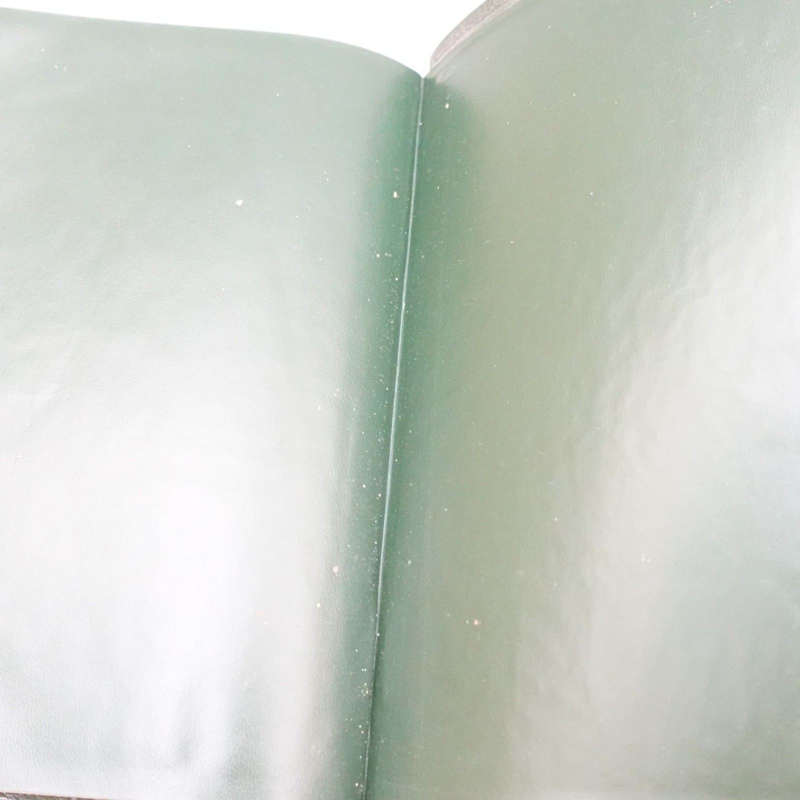 Rare Kenneth Hagin Ministries Rhema KJV Study Bible Calfskin Green by Cambridge