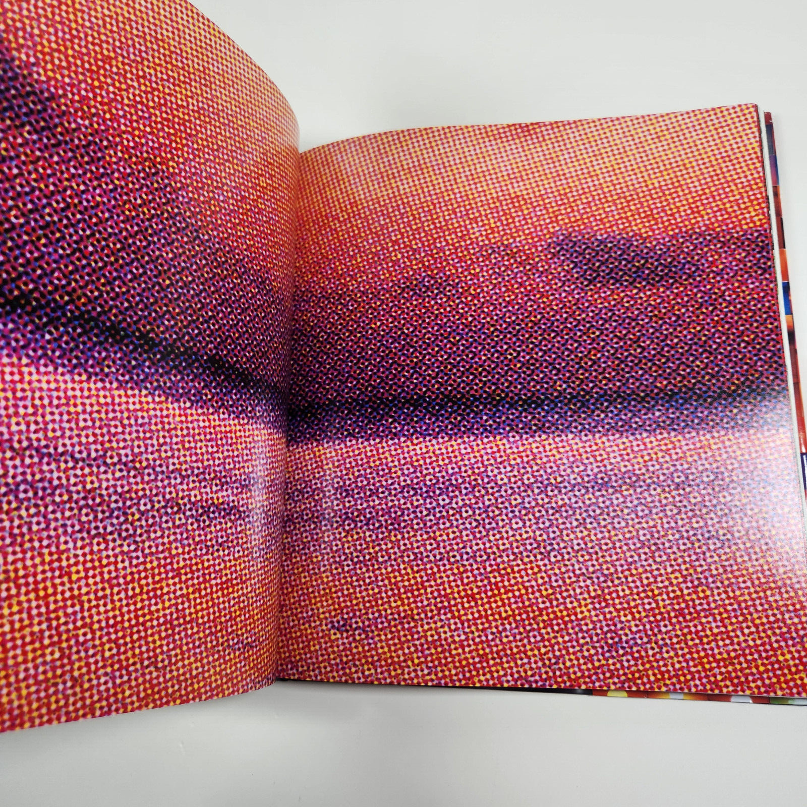 Penelope Umbrico Photographs Limited 1st Ed 2011 Monograph Commercial Media