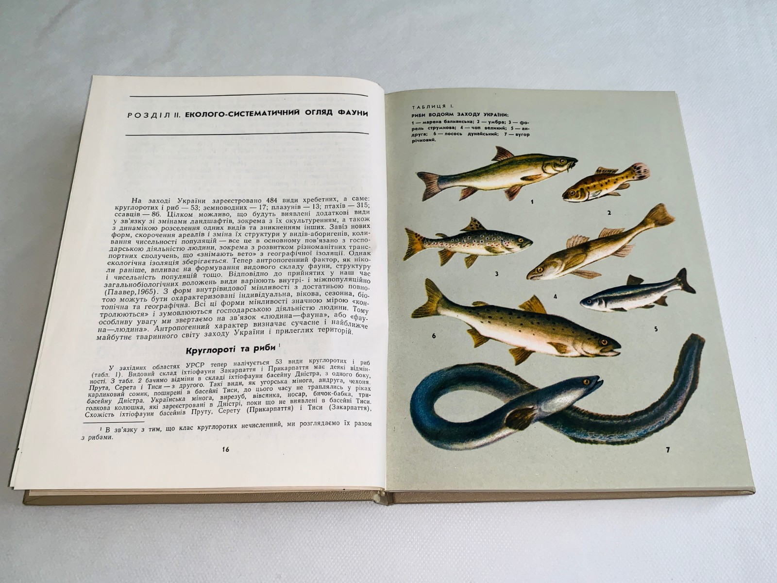 Фауна Західної України Хребетні / Fauna of Vertebrates of the Western Ukraine