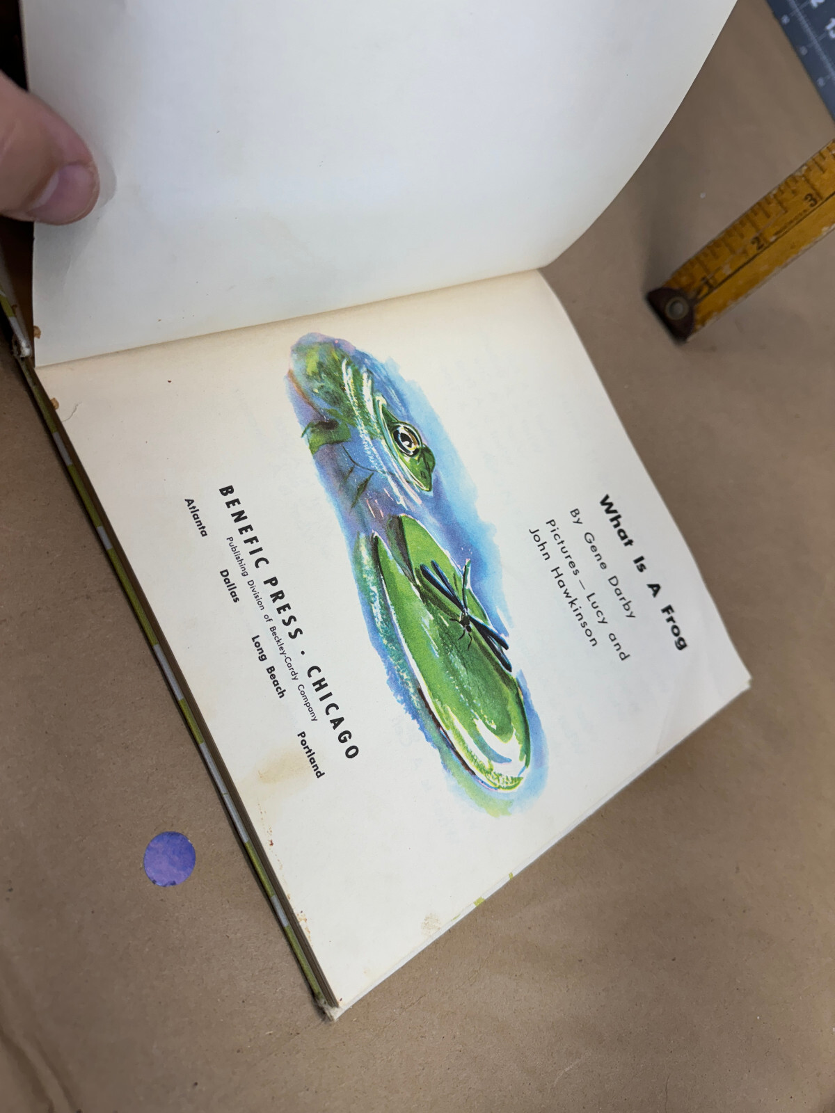 What is a Frog (The What is it series) 1957 Gene Darby Vtg Children’s book b
