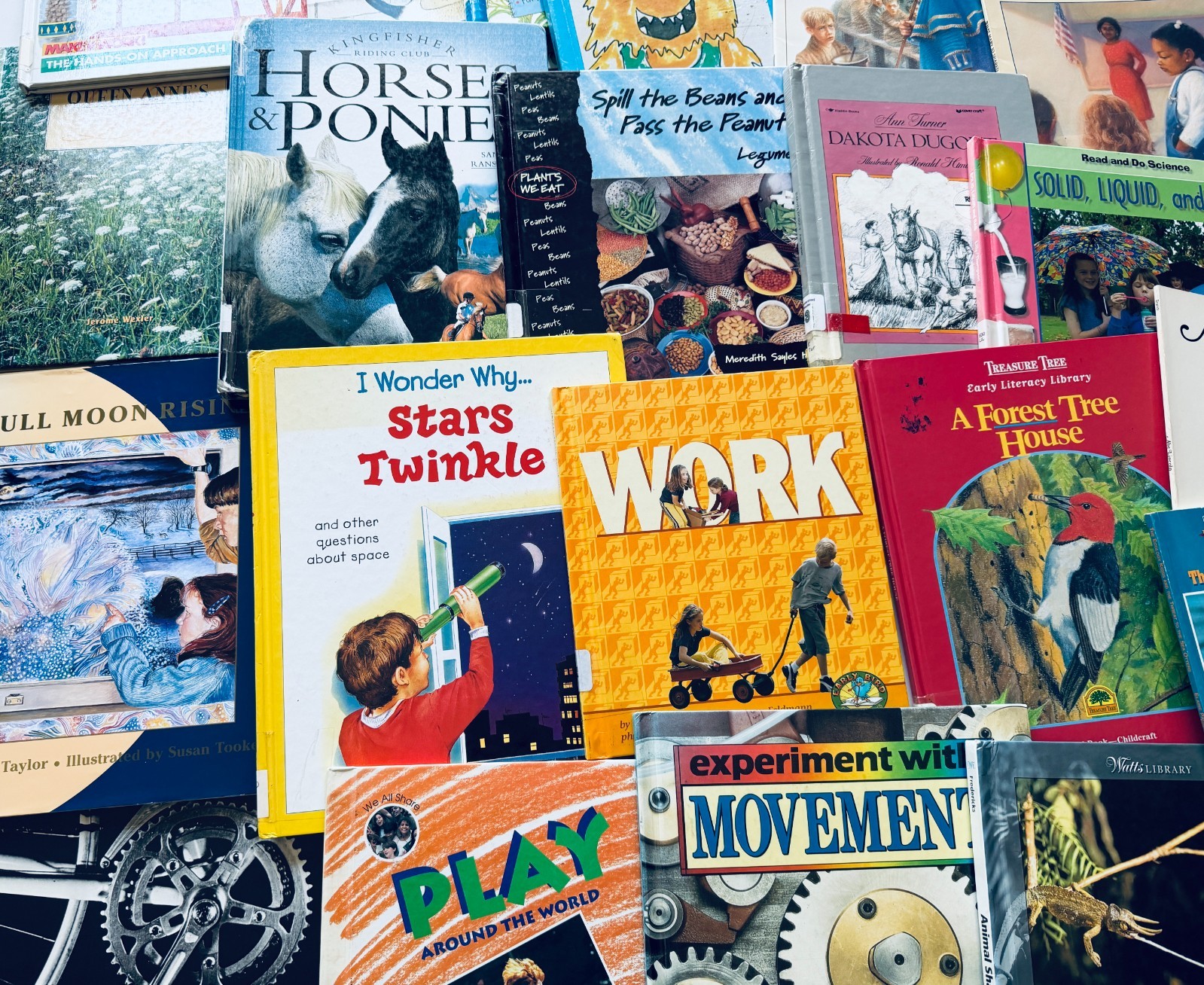Lot of 10 Random Children’s Books, Grades 2-3, Homeschool Library/Teacher Librar